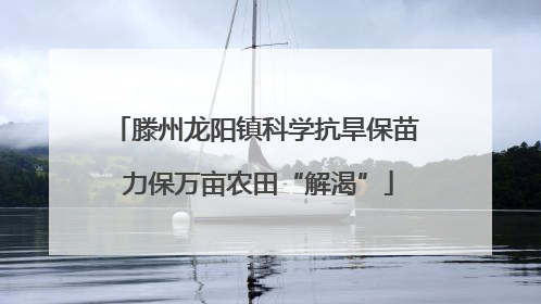 滕州龙阳镇科学抗旱保苗 力保万亩农田“解渴”