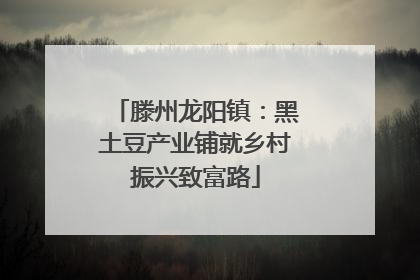 滕州龙阳镇：黑土豆产业铺就乡村振兴致富路