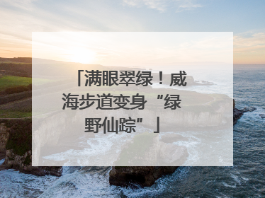 满眼翠绿！威海步道变身“绿野仙踪”
