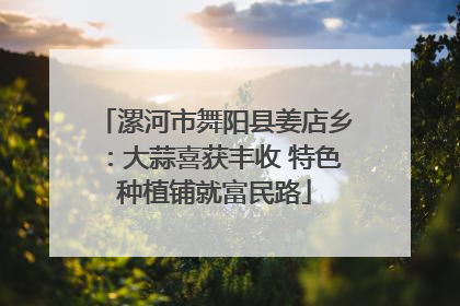 漯河市舞阳县姜店乡：大蒜喜获丰收 特色种植铺就富民路