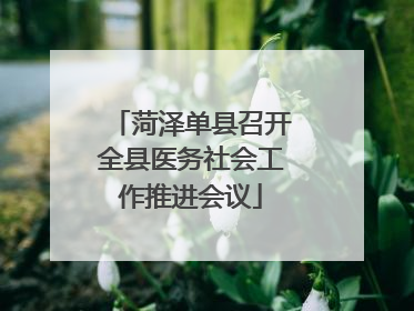 菏泽单县召开全县医务社会工作推进会议