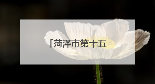 菏泽市第十五届全民健身运动会在单县开幕