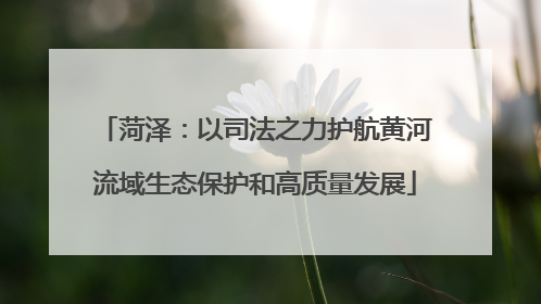 菏泽：以司法之力护航黄河流域生态保护和高质量发展