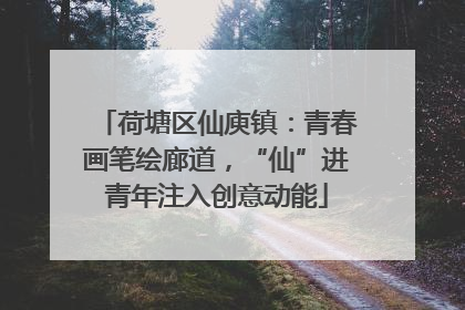 荷塘区仙庾镇：青春画笔绘廊道，“仙”进青年注入创意动能