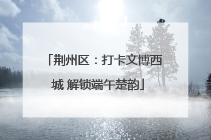 荆州区：打卡文博西城 解锁端午楚韵