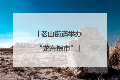 老山街道举办“龙舟粽市”