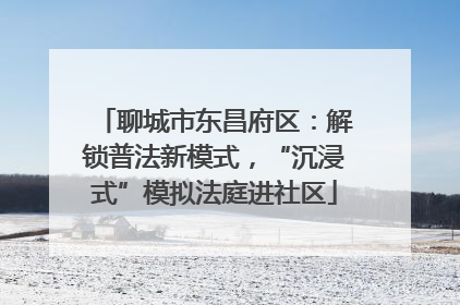 聊城市东昌府区：解锁普法新模式，“沉浸式”模拟法庭进社区