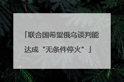 联合国希望俄乌谈判能达成“无条件停火”