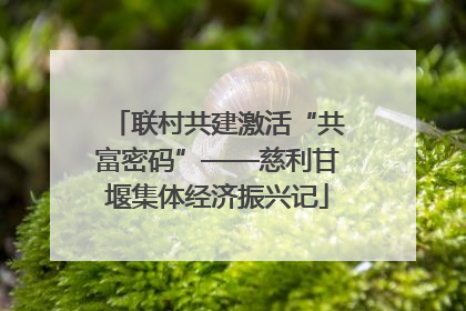 联村共建激活“共富密码”——慈利甘堰集体经济振兴记