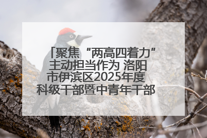聚焦“两高四着力” 主动担当作为 洛阳市伊滨区2025年度科级干部暨中青年干部培训班开班