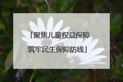 聚焦儿童权益保障 筑牢民生保障防线