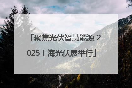 聚焦光伏智慧能源 2025上海光伏展举行