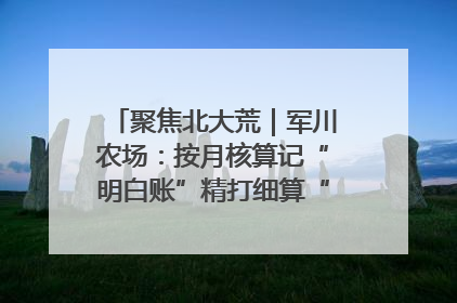 聚焦北大荒｜军川农场：按月核算记“明白账”精打细算“过紧日子”
