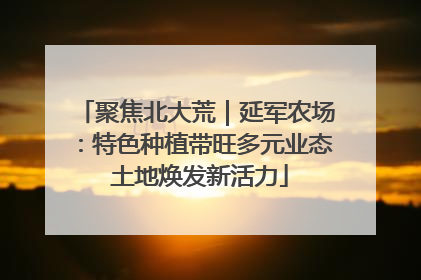 聚焦北大荒｜延军农场：特色种植带旺多元业态 土地焕发新活力