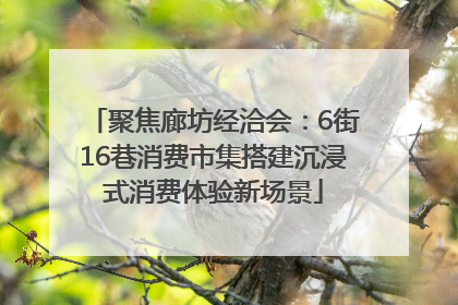 聚焦廊坊经洽会：6街16巷消费市集搭建沉浸式消费体验新场景