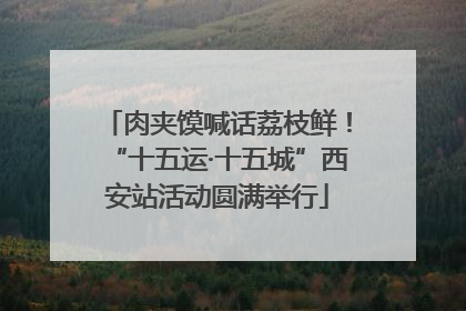 肉夹馍喊话荔枝鲜！“十五运·十五城”西安站活动圆满举行
