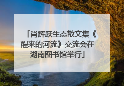 肖辉跃生态散文集《醒来的河流》交流会在湖南图书馆举行