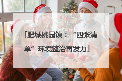 肥城桃园镇：“四张清单”环境整治再发力