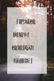 肥城槐树坡村：槐坡风动绿藤新