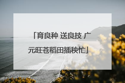 育良种 送良技 广元旺苍稻田插秧忙