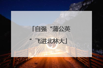 自强“蒲公英”飞进北林大