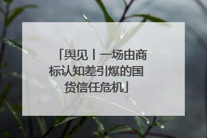 舆见丨一场由商标认知差引爆的国货信任危机