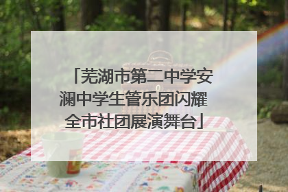 芜湖市第二中学安澜中学生管乐团闪耀全市社团展演舞台