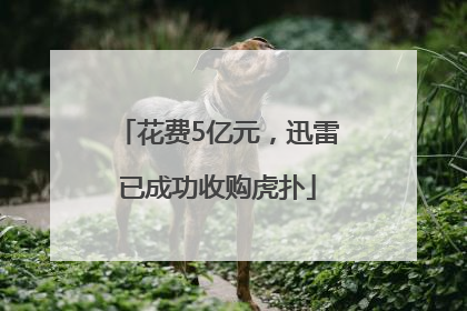 花费5亿元，迅雷已成功收购虎扑