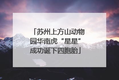 苏州上方山动物园华南虎“星星”成功诞下四胞胎