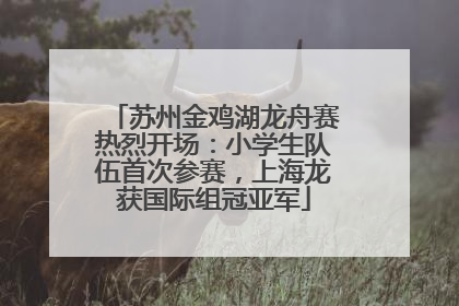 苏州金鸡湖龙舟赛热烈开场：小学生队伍首次参赛，上海龙获国际组冠亚军