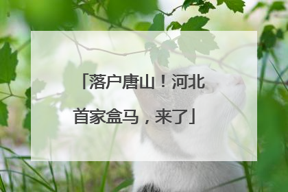 落户唐山！河北首家盒马，来了