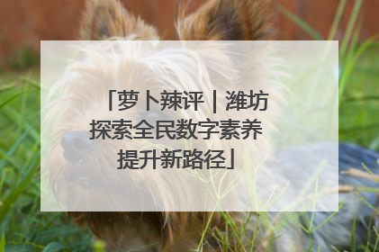 萝卜辣评｜潍坊探索全民数字素养提升新路径