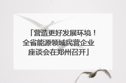 营造更好发展环境！全省能源领域民营企业座谈会在郑州召开