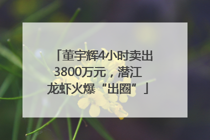 董宇辉4小时卖出3800万元，潜江龙虾火爆“出圈”