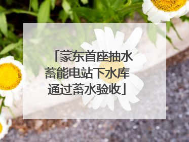 蒙东首座抽水蓄能电站下水库通过蓄水验收