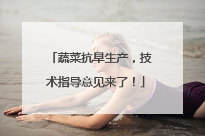 蔬菜抗旱生产，技术指导意见来了！