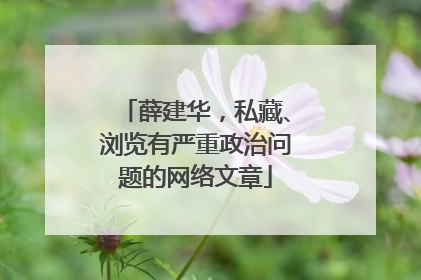 薛建华，私藏、浏览有严重政治问题的网络文章