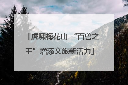 虎啸梅花山 “百兽之王”增添文旅新活力
