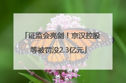 证监会亮剑！京汉控股等被罚没2.3亿元