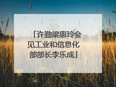 许勤梁惠玲会见工业和信息化部部长李乐成
