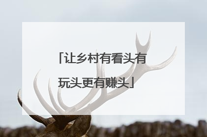 让乡村有看头有玩头更有赚头