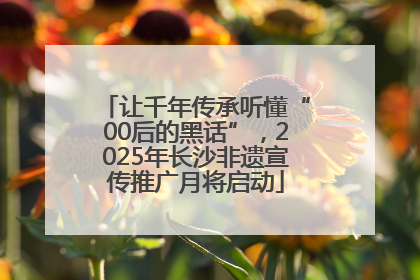 让千年传承听懂“00后的黑话”，2025年长沙非遗宣传推广月将启动