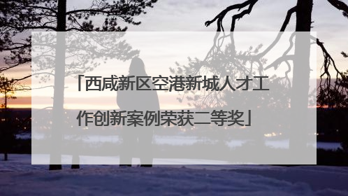 西咸新区空港新城人才工作创新案例荣获二等奖