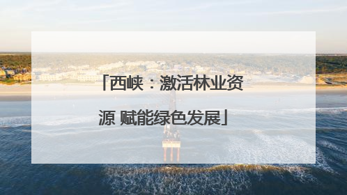 西峡：激活林业资源 赋能绿色发展