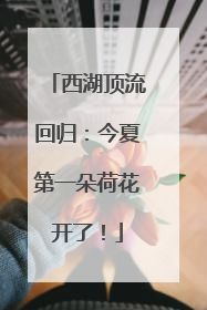 西湖顶流回归：今夏第一朵荷花开了！