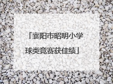襄阳市昭明小学球类竞赛获佳绩