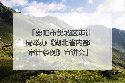 襄阳市樊城区审计局举办《湖北省内部审计条例》宣讲会