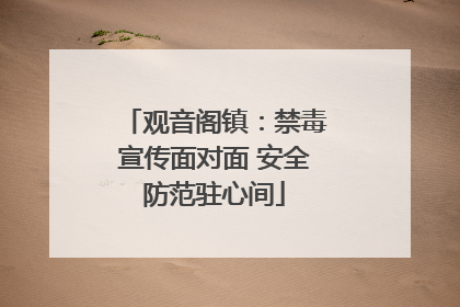 观音阁镇：禁毒宣传面对面 安全防范驻心间