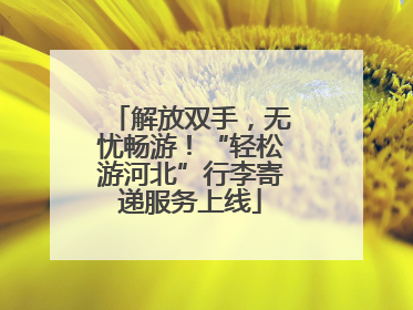 解放双手，无忧畅游！“轻松游河北”行李寄递服务上线