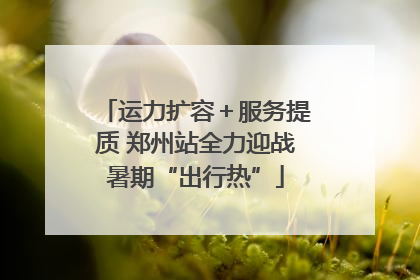 运力扩容＋服务提质 郑州站全力迎战暑期“出行热”